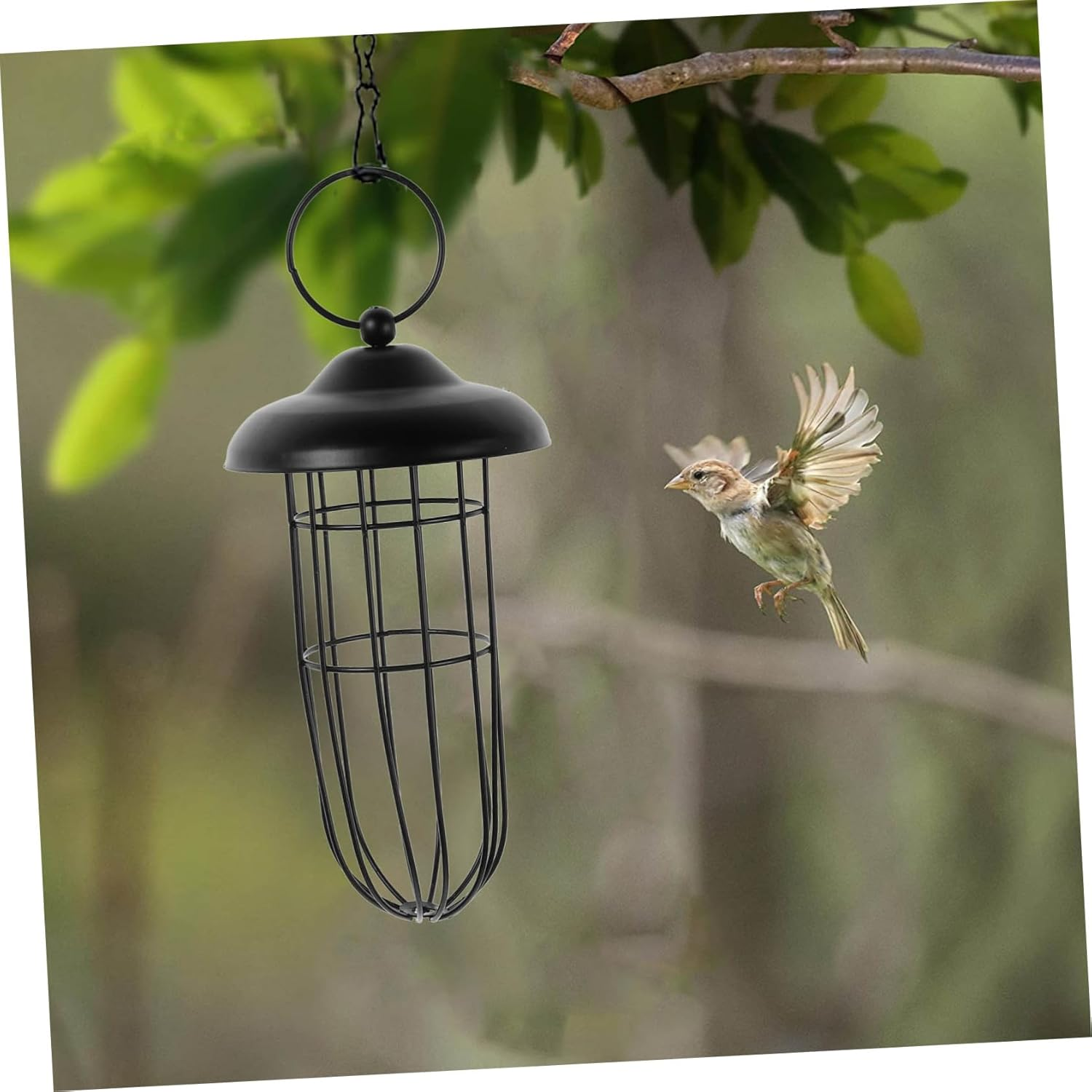 Ipetboom Outdoor Hanging Metal Bowl Bird Feeder Hollow-Out Design Iron Feeding Tool for Canary Parrot Lark Birds Supplies image number 6