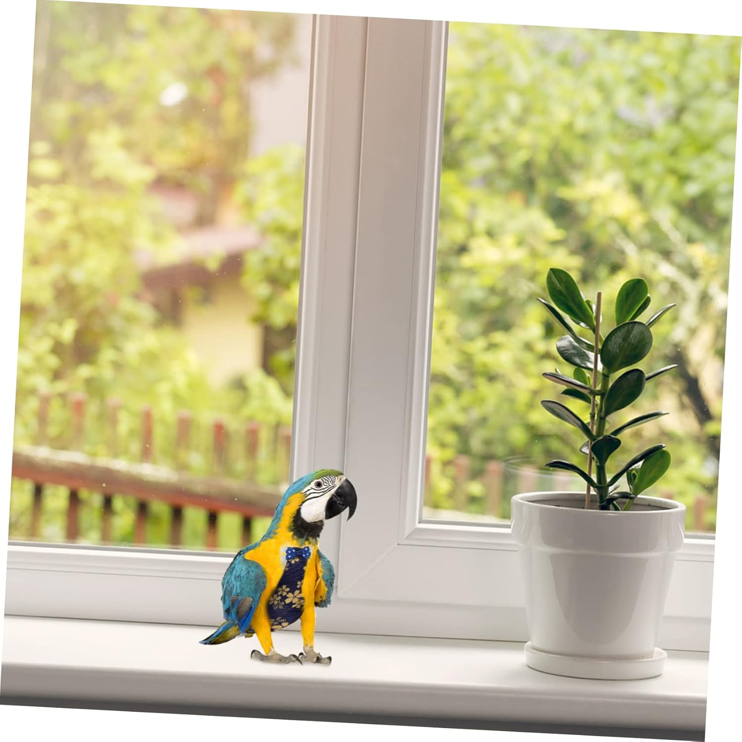 Parliky 2Sets Elegant Birds Diaper Cotton Pet Nappy Washable Comfortable for Parrots Reusable Daily Wear Party Holiday Fashion 2Pcs*2 image number 1