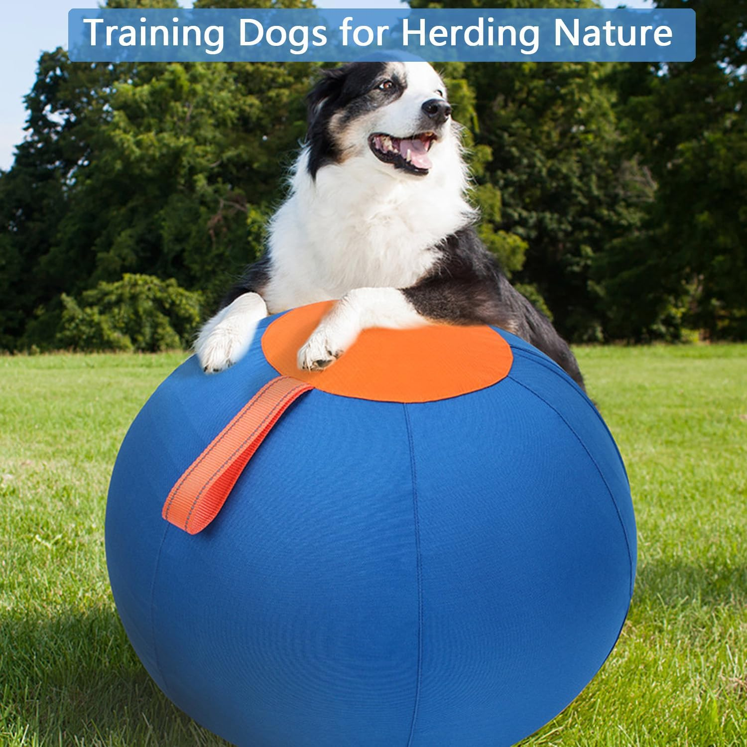 Herding Ball for Dogs &ndash; Durable Dog Toy Agility Equipment for Australian Shepherds, Cattle, Border Collies, and Large Dog Breeds, Outdoor Dog Toys (25 In) image number 1