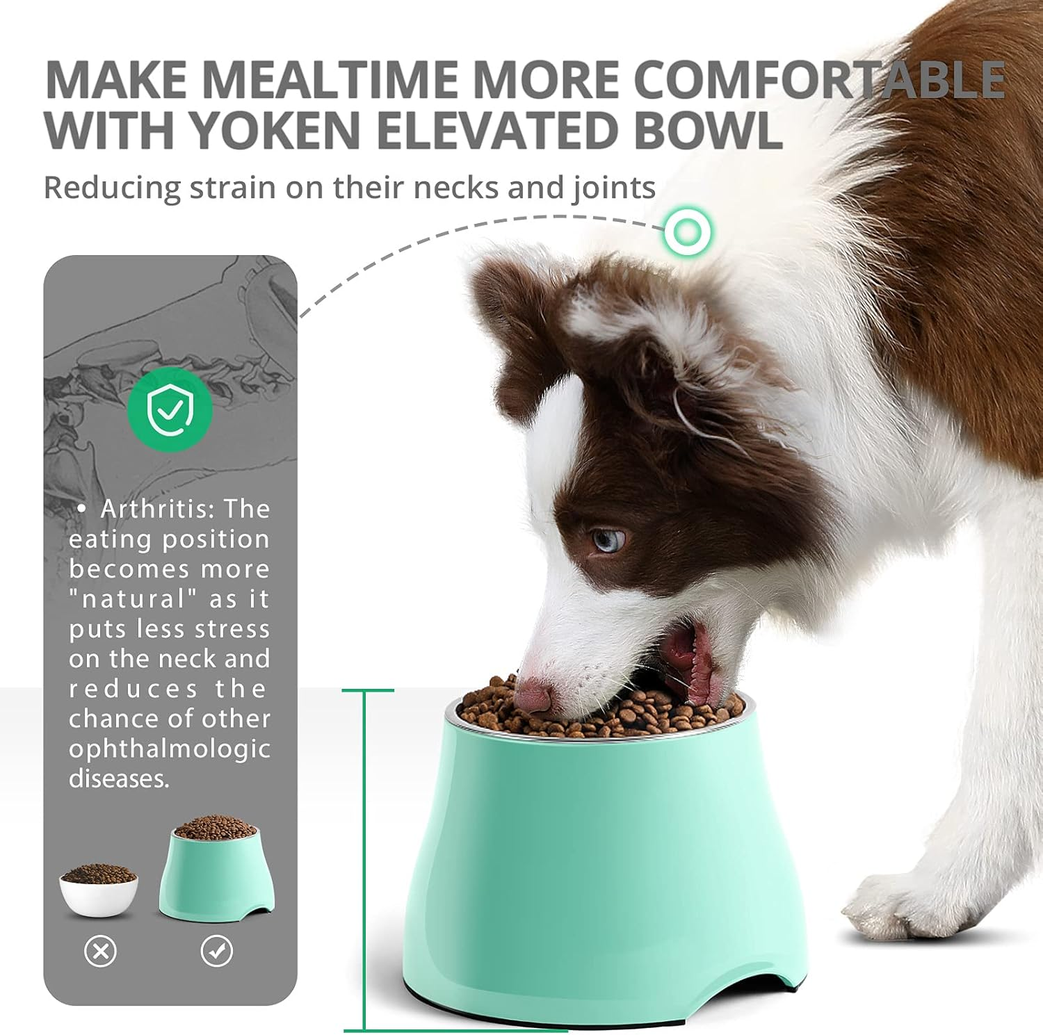 Yoken Elevated Dog Bowls, [Prevention of Vertebrae Disease] [Super Non-Slip] Dog Bowl with Stainless Steel Bowl, High Capacity Dog Food Bowls, Colorful Raised Dog Bowls for Medium/Small Size Dogs image number 1