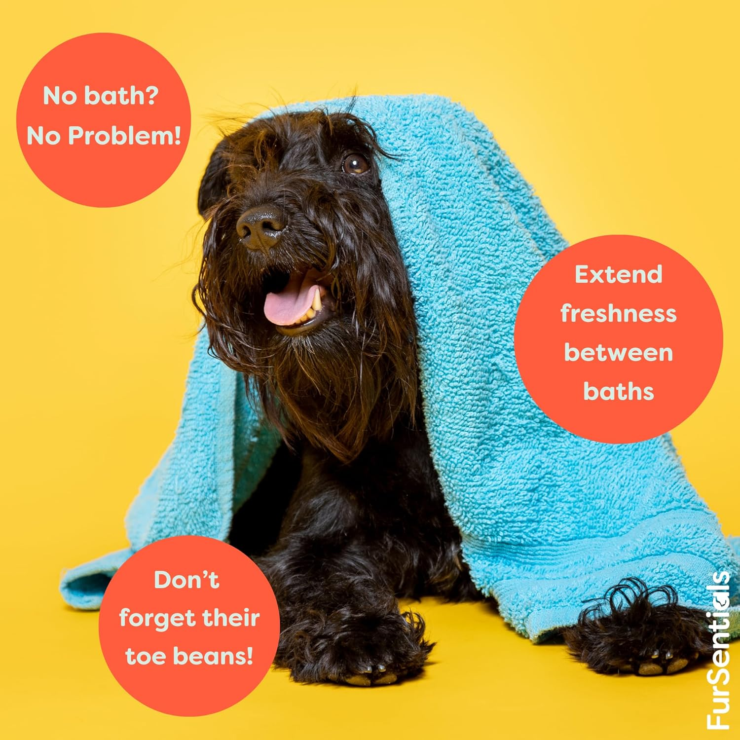 Waterless Shampoo Mousse for Dogs | Waterless Foam Shampoo for Dogs | No Rinse Waterless Shampoo Foam Made with Australian Oils, 200 Ml | by Fursentials image number 3