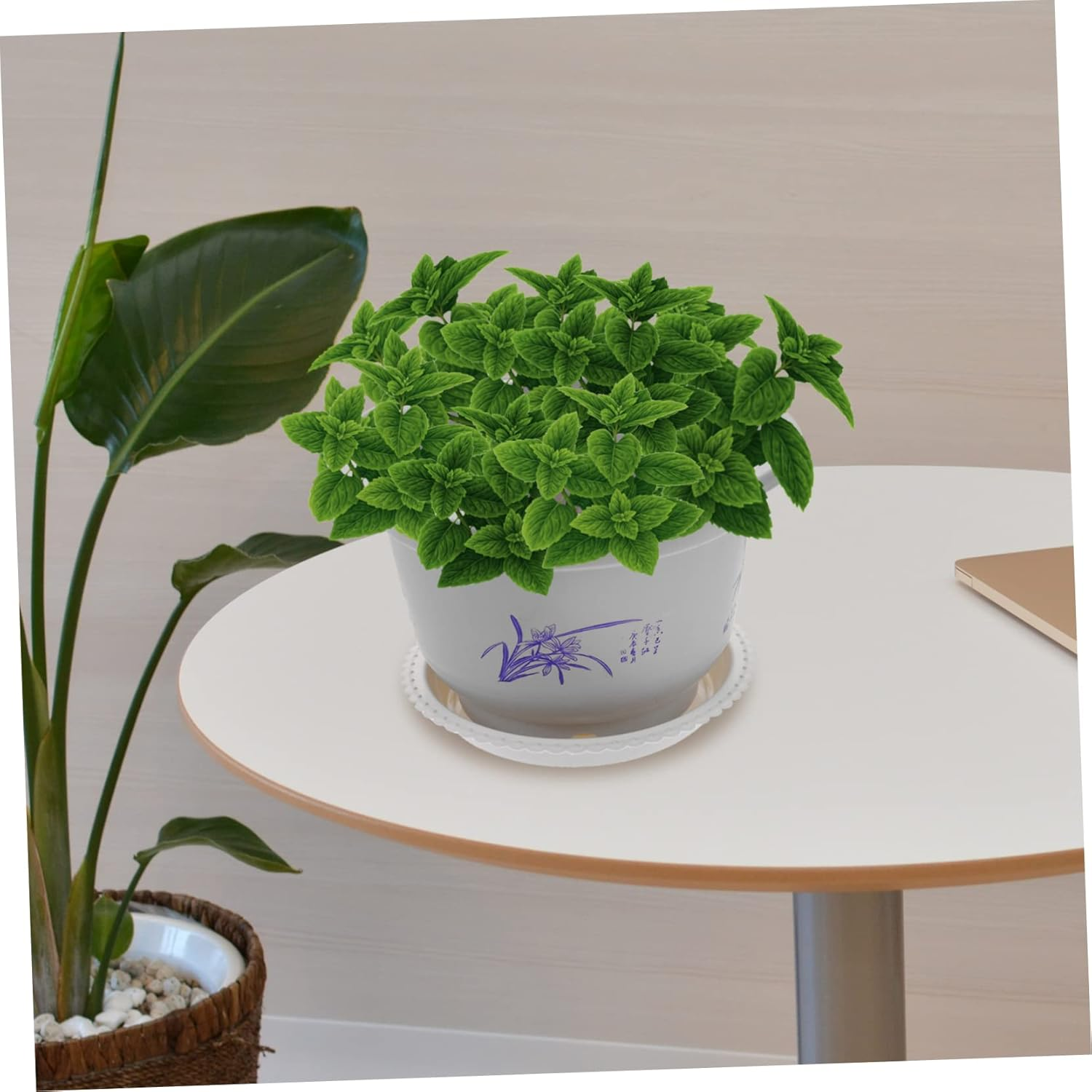 10Pack round Flower Planters Enhanced Water Filtration Ideal for Succulents Indoor Gardening image number 2