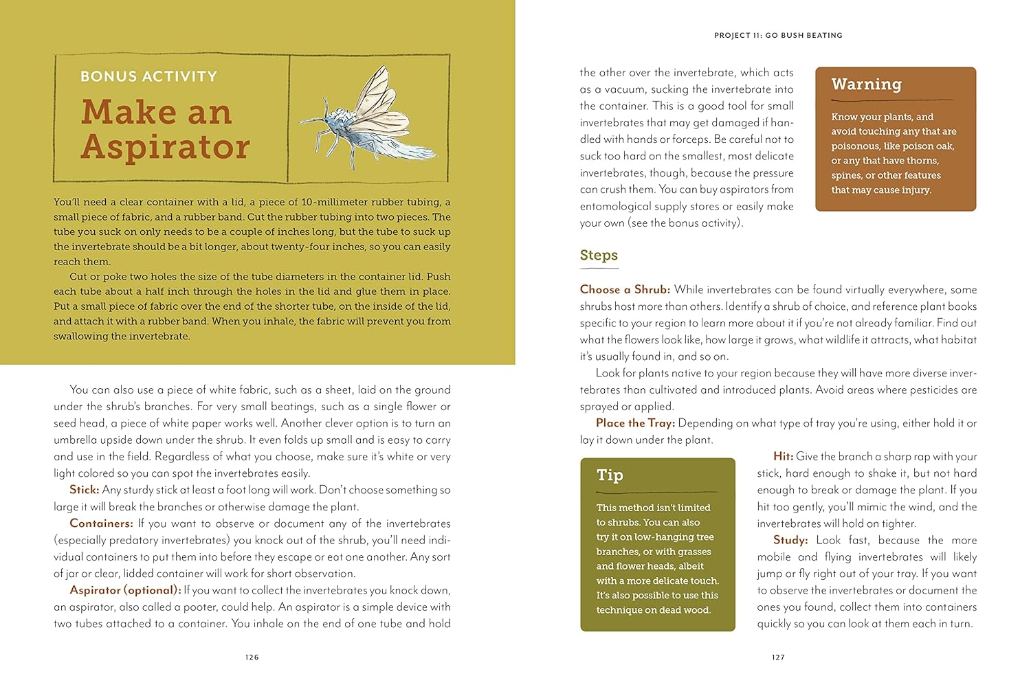 The Naturalist at Home: Projects for Discovering the Hidden World around Us