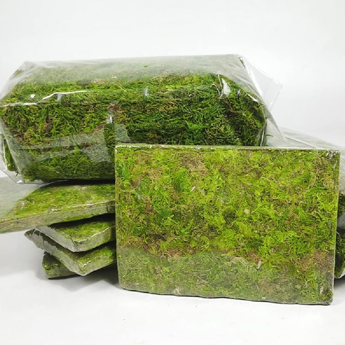 AIMALL Compressed Natural Moss Mat 8.27X4.92 Inch Moisturising Substrate Pad for Tortoise Snake Lizard Reptile Terrarium Bedding Organic Breathable Soil Cover image number 6