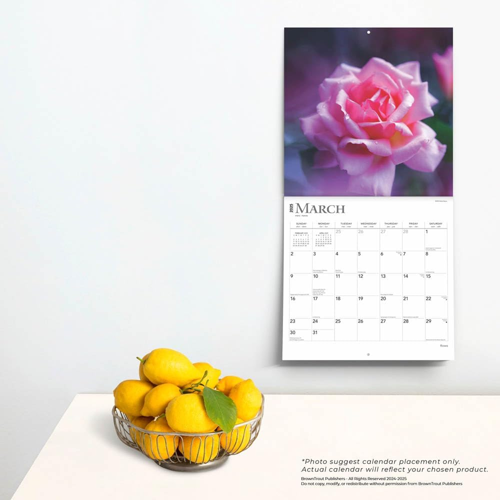 Roses | 2025 12 X 24 Inch Monthly Square Wall Calendar | Plastic-Free | Browntrout | Flower Floral Plant Outdoor Nature Gardening image number 1