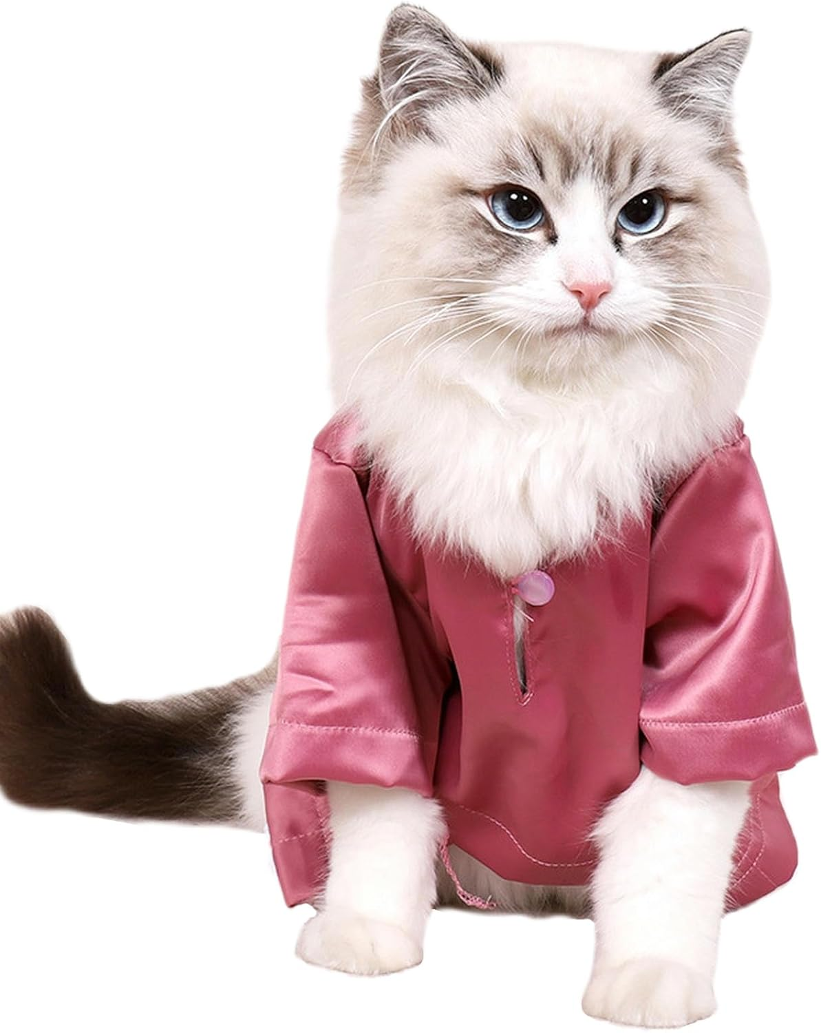 IUOUTG Summer Cat Shirts Cute Pullover Kitten T-Shirts with Sleeves Cool Breathable Pet Clothes Cat Pajamas Thin Cat Outfit for Male Female Cats All Season