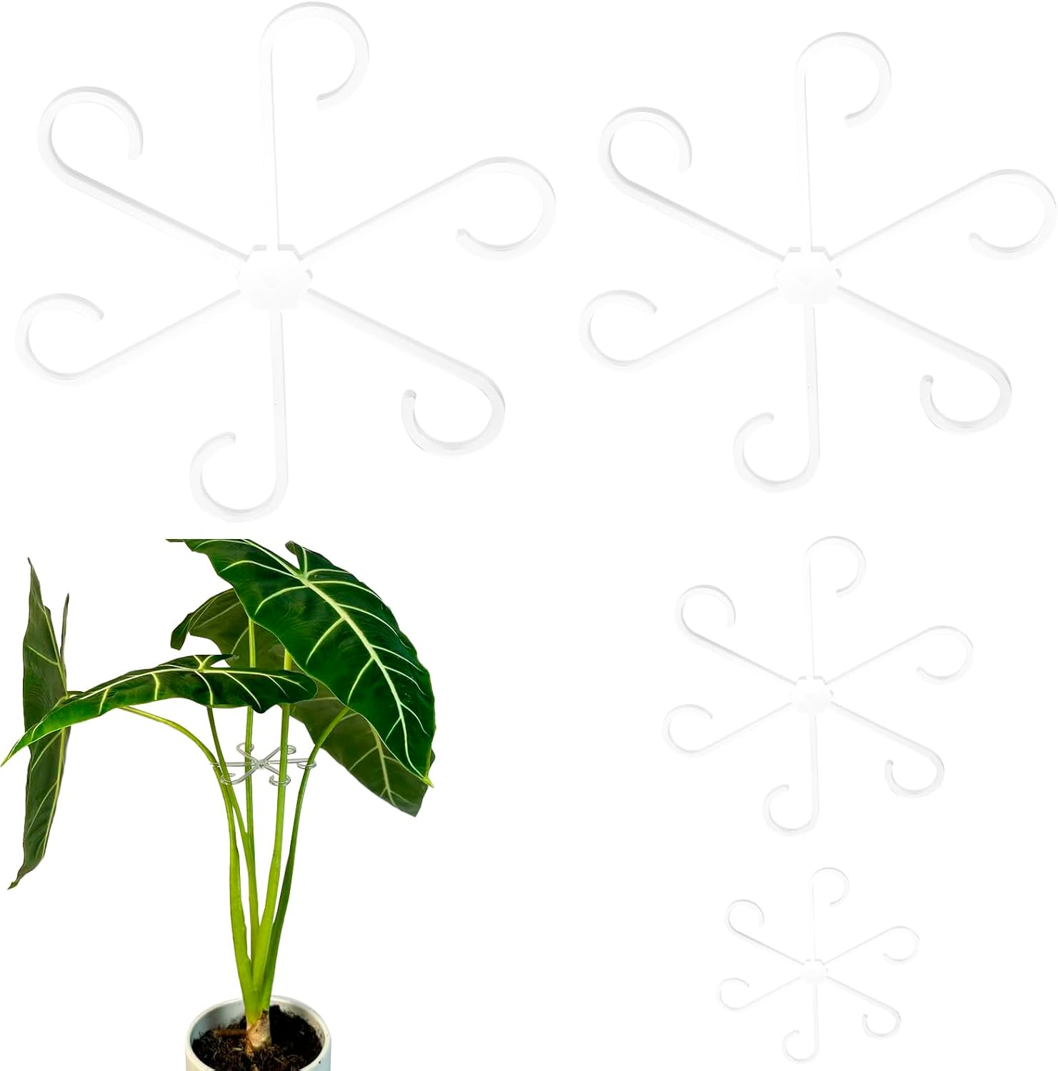 4 PCS Plant Stem Support, Climbing House Plant Stem Support, Plant Supports for Indoor Plants, Reusable Houseplant Accessories（Transparent） - Red image number 4