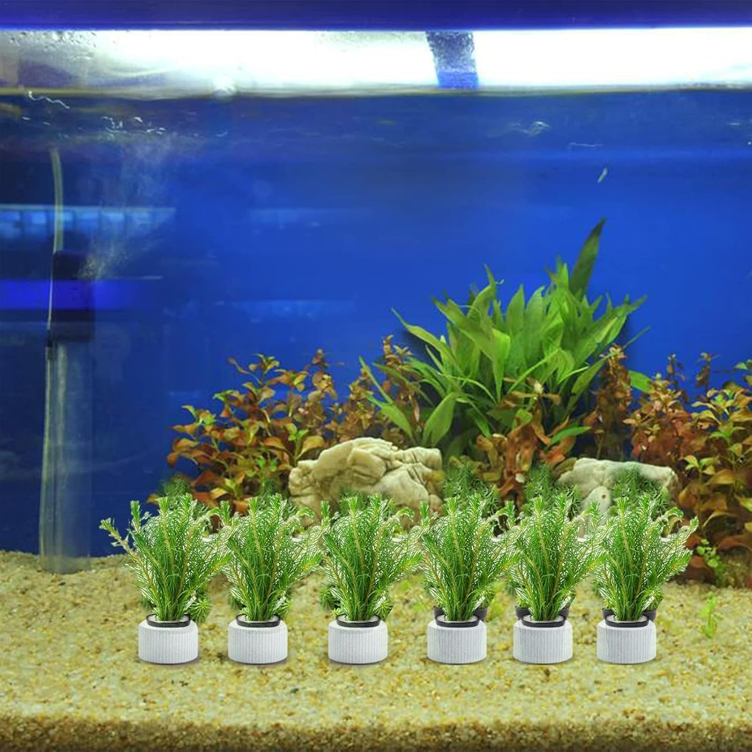 Aquarium Planting Baskets Rings,15 Pcs Aquatic Plants Fixed Ring Set, Aquatic Plant Planting Basket Flower Pots anti Floating Plant Ring and Cup,Aquatic Plants Fixed Ring Fish Tank Planting Cups image number 6