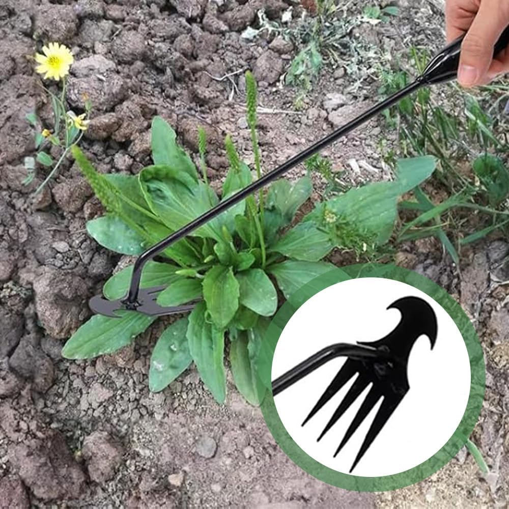 3-Piece Weeding Tool Set, Stainless Steel Digging Grass Tool, Paving Slab Moss Removal, L-Shaped Gardening Crevice Weeding Sickle, for Lawn Edger and Driveway image number 6