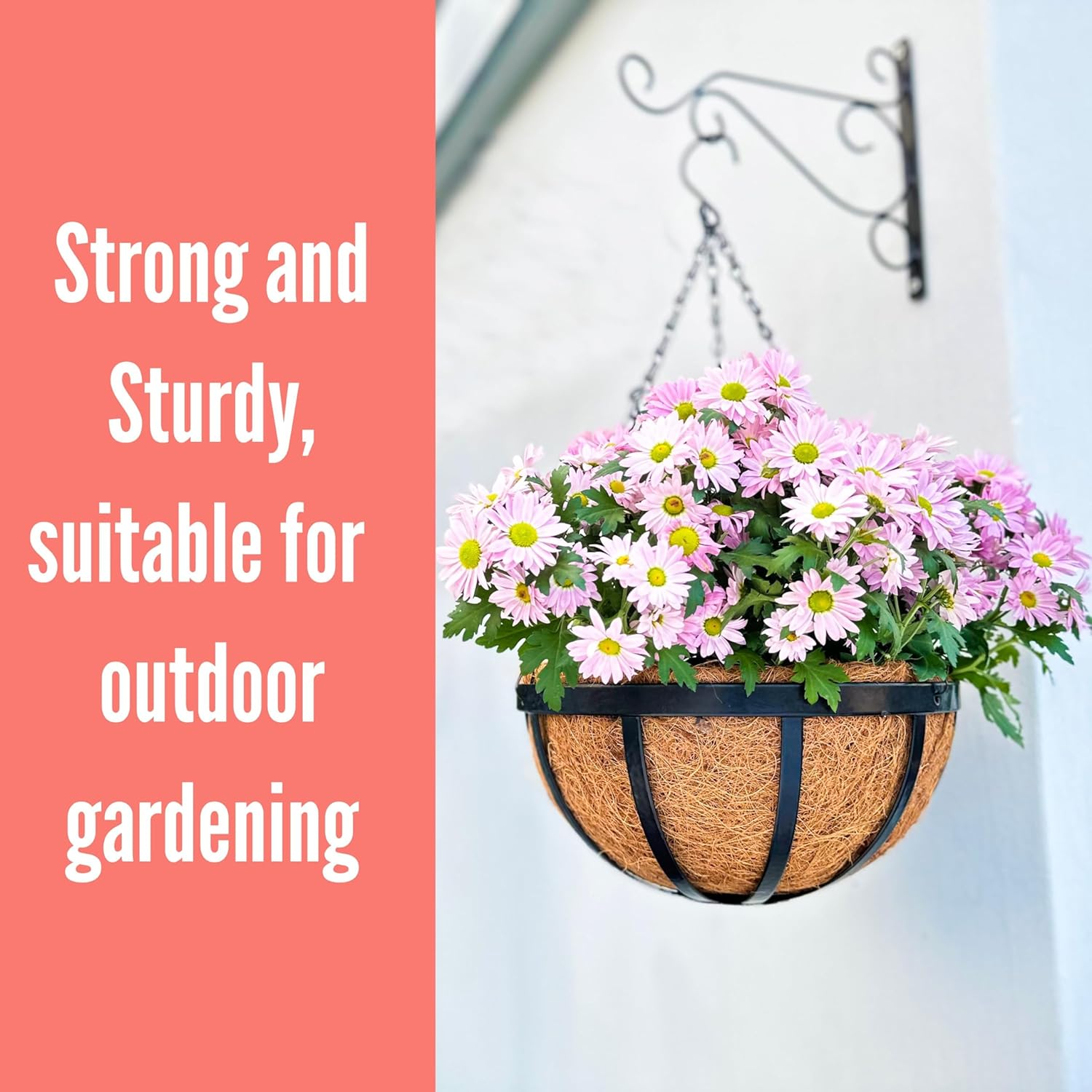 Lalagreen Outdoor Hanging Baskets for Plants Small and Cute Wire Hanging Planters with Coco Liner, Black Metal (2, 10 Inch)