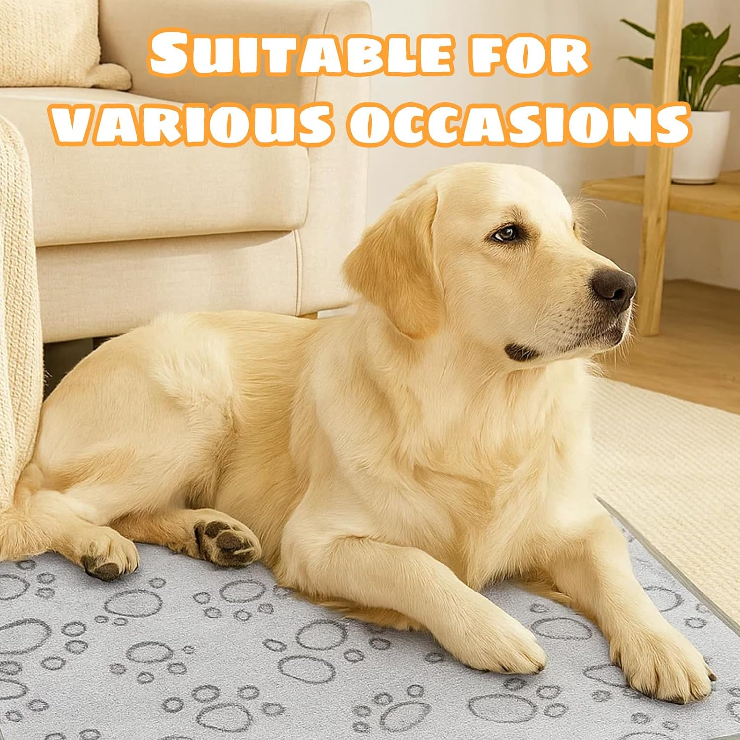 Ycelon Cat Blanket, Pack of 3 Fluffy Dog Blankets, Soft Pet Blanket for Small Dogs and Cats, 40 X 60 Cm, Ideal for Sofa, Car and Cage image number 4