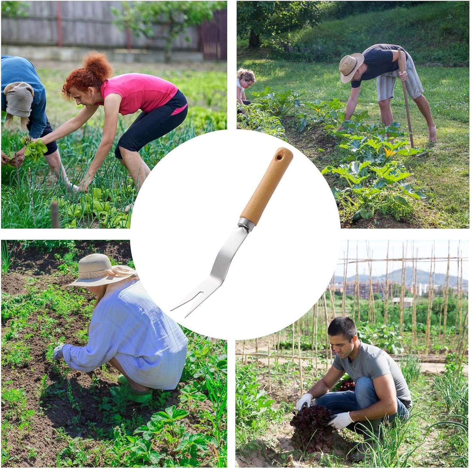 Ocastuted Grass Puller Tool,Gardening Hand Tools | Stainless Steel Gardening Supplies Manual Puller for Landscaping Flower Bed Driveway Vegetable image number 4