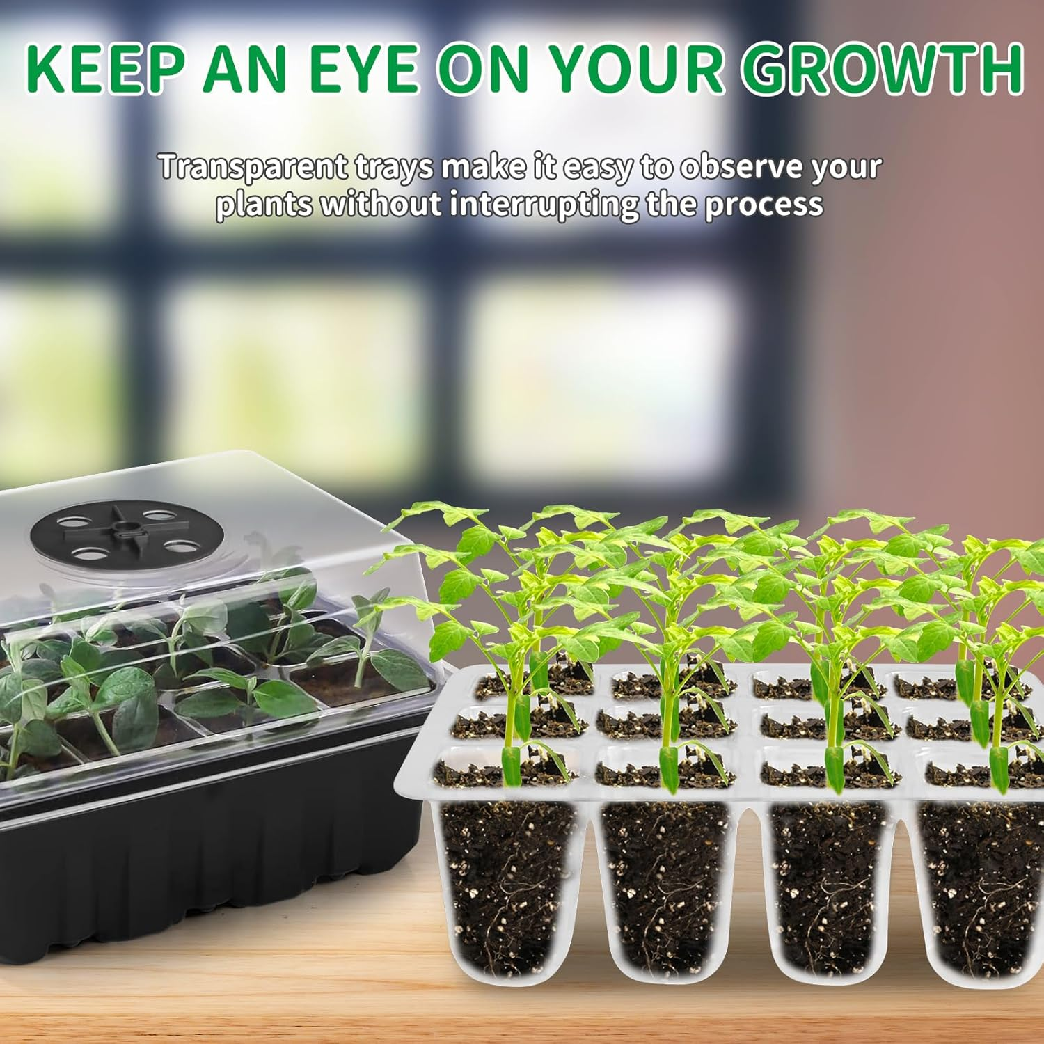 AUPETEK 5 Pack Seed Starter Tray with Heat Mat and Grow Light Humidity Domes, 60 Cell Trays Germination Station Cloning Kit Australian Plug image number 3