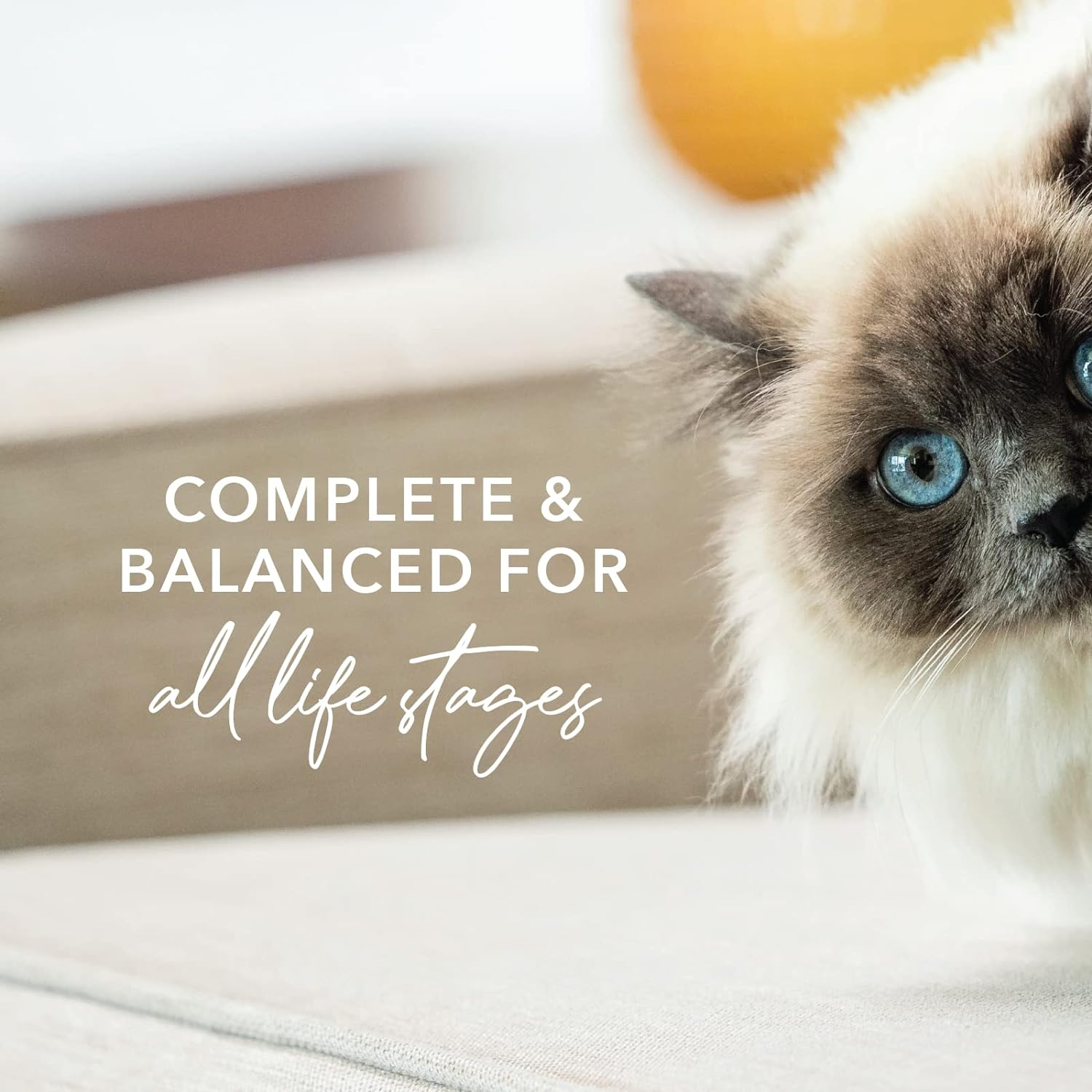 Feline Natural Bpa-Free & Gelatin-Free Canned Cat Food 170G 12 Pack (Chicken & Lamb) image number 3