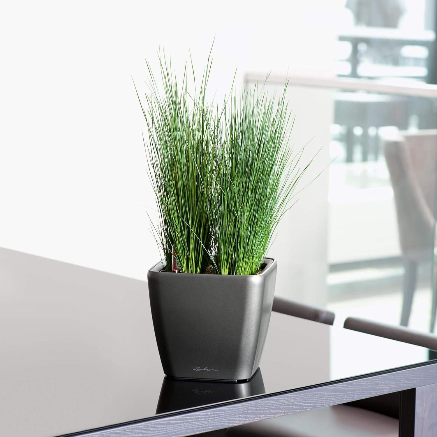 Lechuza Self Watering Plant Pot Quadro LS 21 Garden Flower Indoor and Outdoor Plastic Small Planter with Drainage Hole H20 L21 W21 Cm Black High-Gloss image number 3