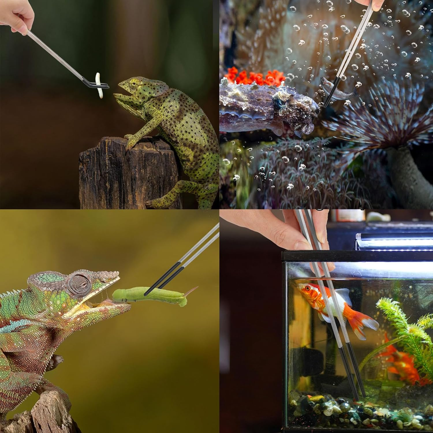 2PCS Stainless Steel Reptile Feeding Tongs with Rubber Tip,Crested Gecko Tank Accessories,10.6&rdquo; Heavy Duty Extra Long Tweezers Straight & Curved Long Tweezers for Aquarium & Terrarium or Craft image number 1