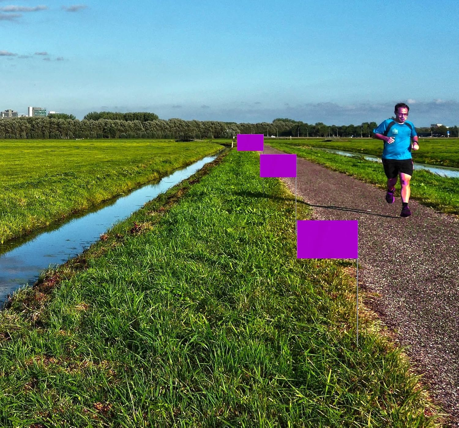 35 PCS Purple Small Flag,15 Inch Steel Flagpole Mini Flag,Ground Marking Flags Decor,Petit Drapeau image number 2