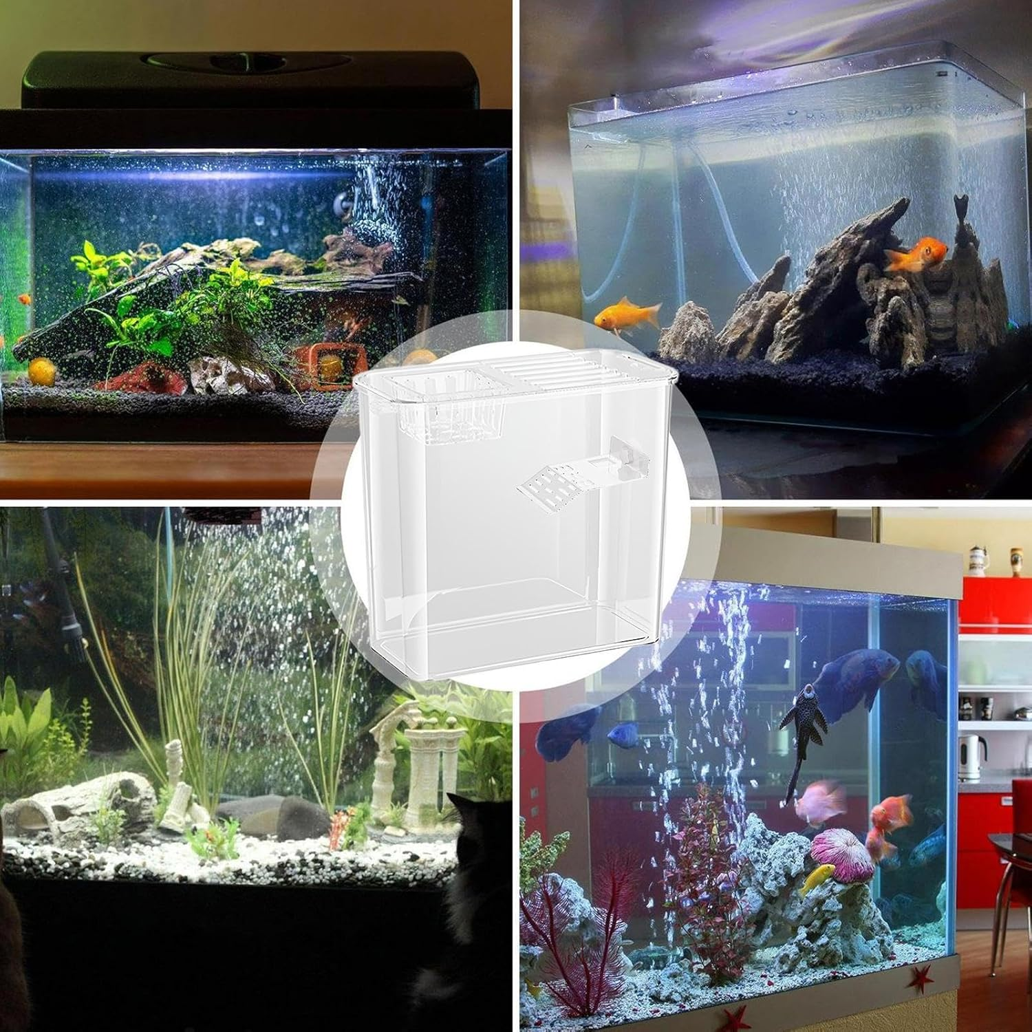 Turtle Aquarium, Creative Turtle Fish Terrarium, 12.2X11.02X6.1 Inches Clear Water Land Habitat Tank, Multi- Reptile Tank with Basking, Raising Cave for Aquatic Pets image number 6