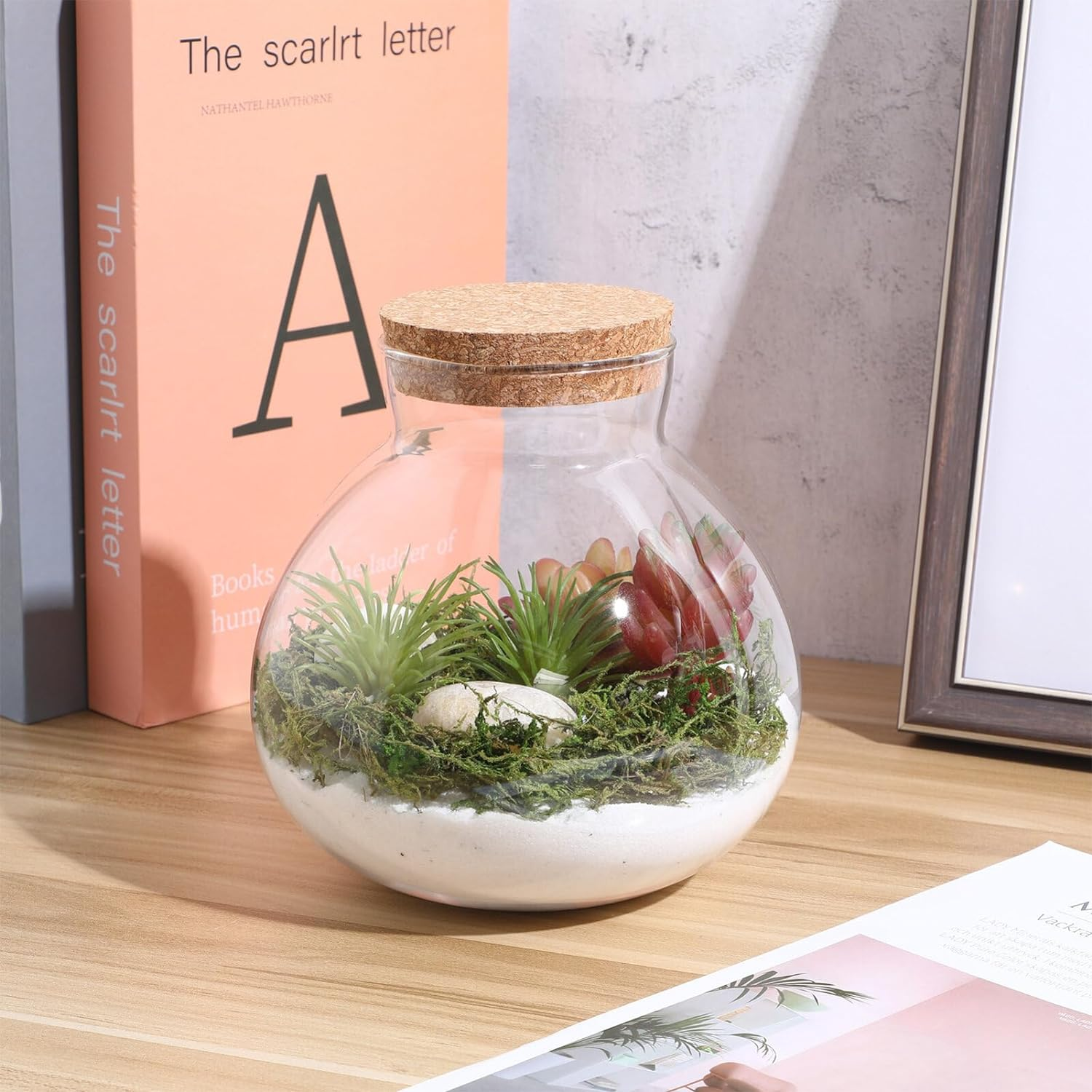 Kisangel Glass Plant Terrarium Jar, Micro Landscape Terrarium with Wood Lid, Tabletop Succulent Planter DIY Planterdecor for Craft image number 6