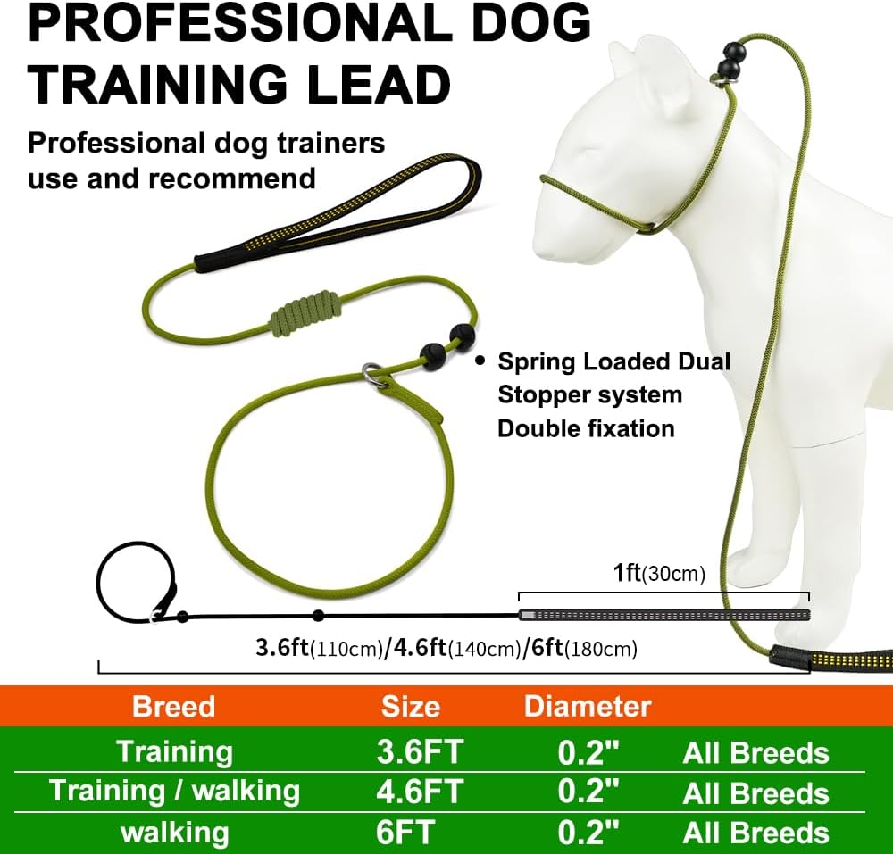 Beaugo Slip Leads for Dogs,Top Speed Training Dog Leash,2-In-1 Slip Collar Dog Training Lead & Collar,5Ft Thin Slip Lead,Sturdyand Durable, Leash Suitable for Small, Medium, and Large Dogs(Dark Green image number 5