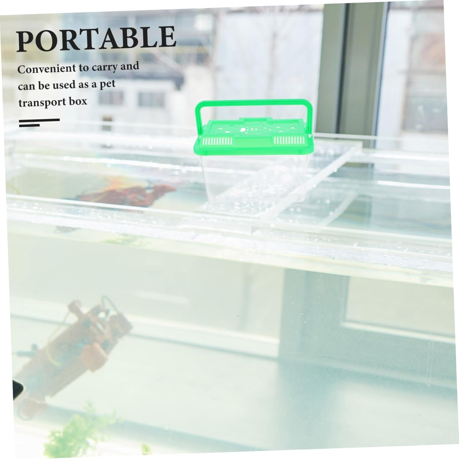 GRIRIW Plastic Fish Tank Portable Aquarium for Turtles Small Fish Tank with Carry Case Pet Box for Travel image number 6