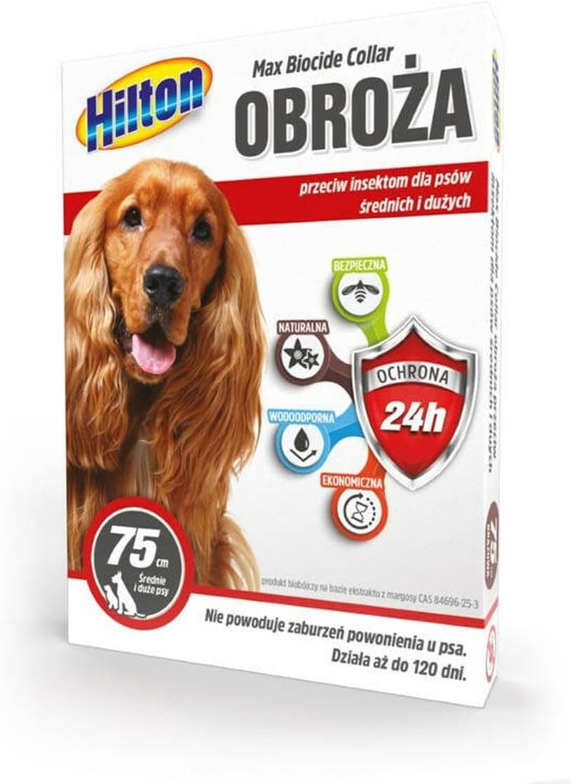 Hilton Bronze Metal Dog Collar