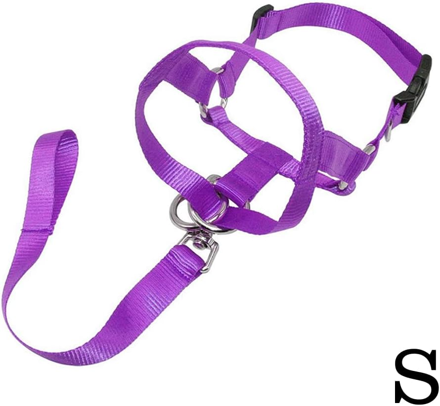 Dog Training Head Collar Halter Stop Pulling Training Tool Harness Strap Leader Purple S - Black L image number 2