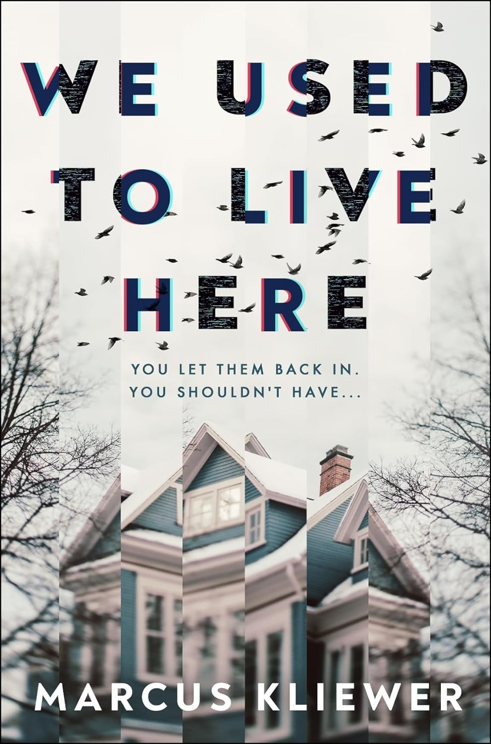 We Used to Live Here: the Most Chilling, Gripping Suspense Thriller of 2024 That Will Leave You Sleeping with the Lights On image number 1