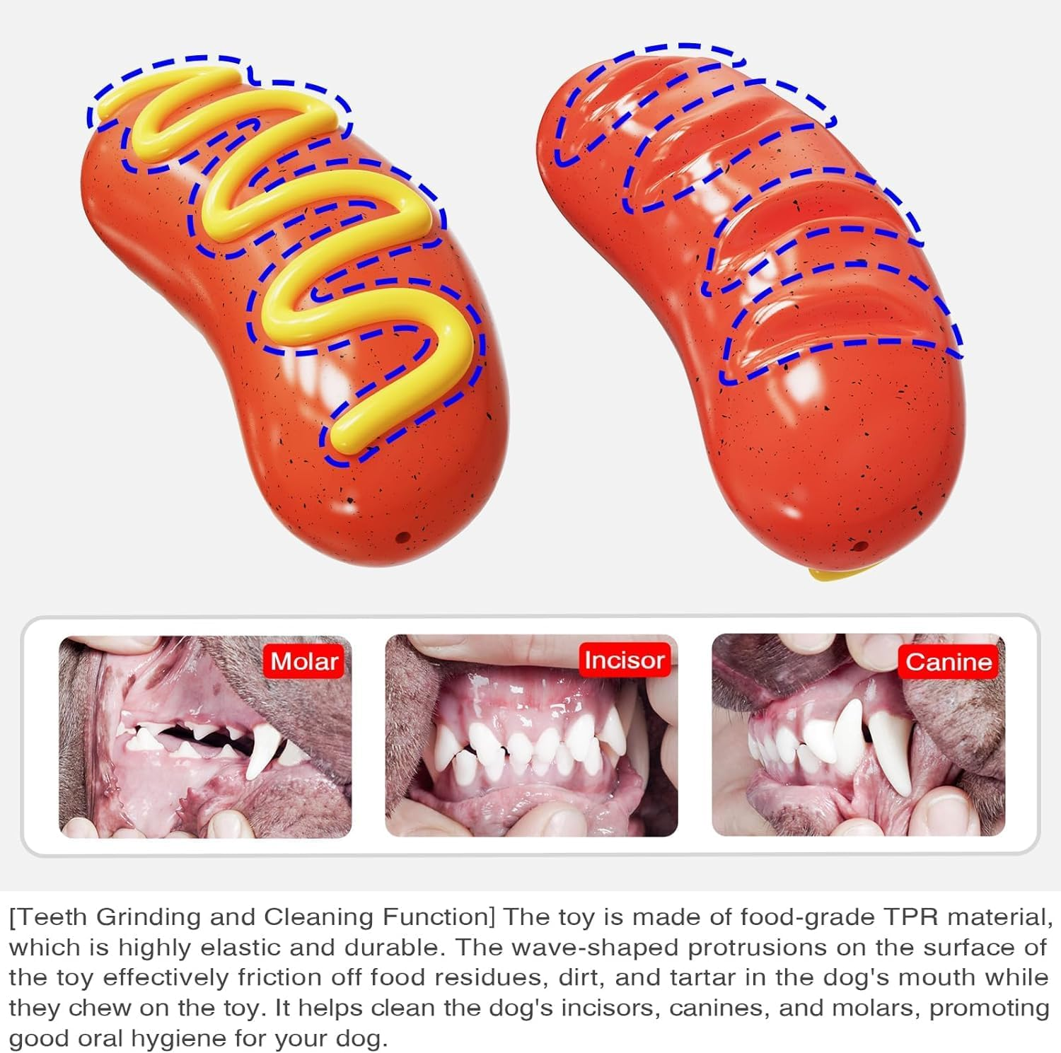 LUPATDY Dog Toy, Indestructible, Squeaky Dog Toy, for Brushing Teeth, Interactive Toy, for Puppies, Medium and Large Dogs, Bratwurst Dog Toy image number 4