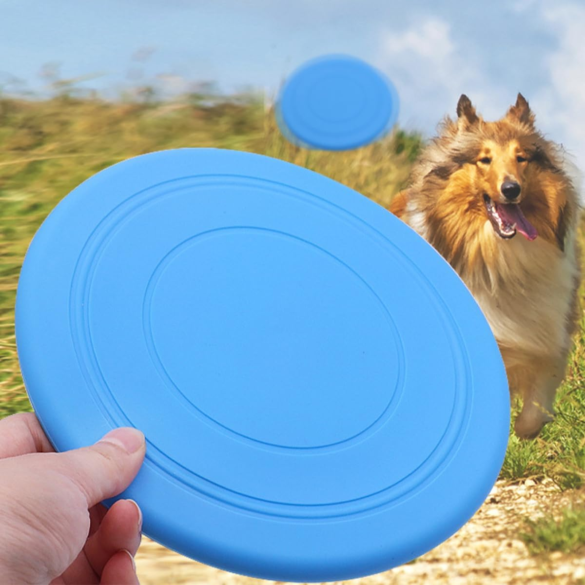 Dog Whistle against Barking, Dog Whistle High Frequency Silent, Dog Whistle Recall and 1 Dog Disc, for Stop Barking and Training Your Dog, with a Lanyard, 2 Pieces image number 4