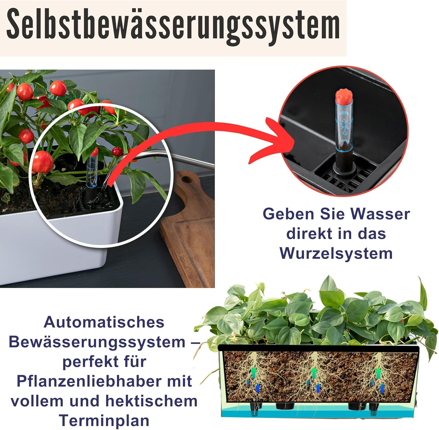 Lalagreen Planter Box for Indoor Plants (2 Pack, 16 Inch) Black Rectangular Self Watering Flower Pot, Large Window Boxes Planters with Drainage Decorative Modern Balcony Windowsill Herbs Home Garden - Black image number 3