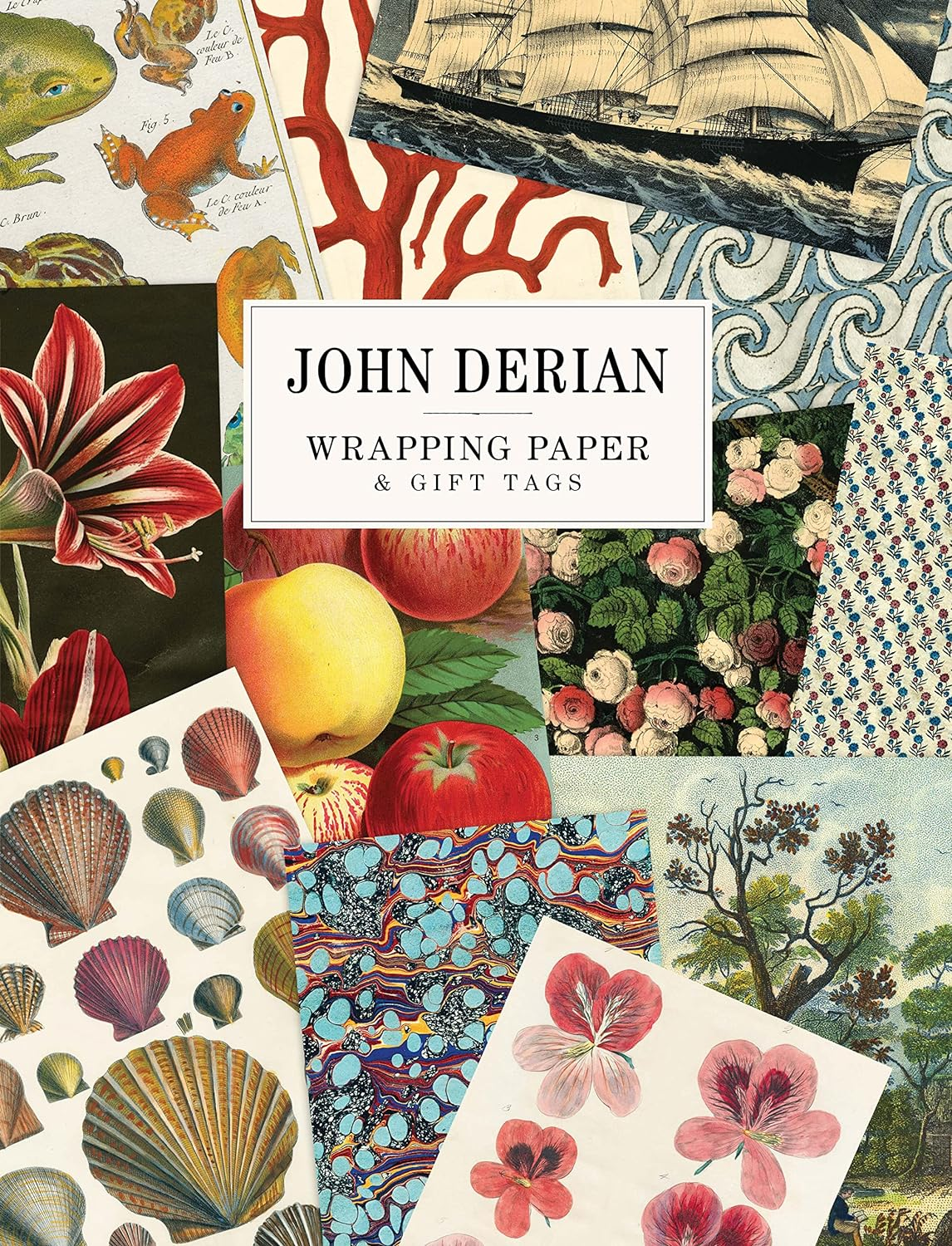 John Derian Paper Goods: Wrapping Paper & Gift Tags image number 1
