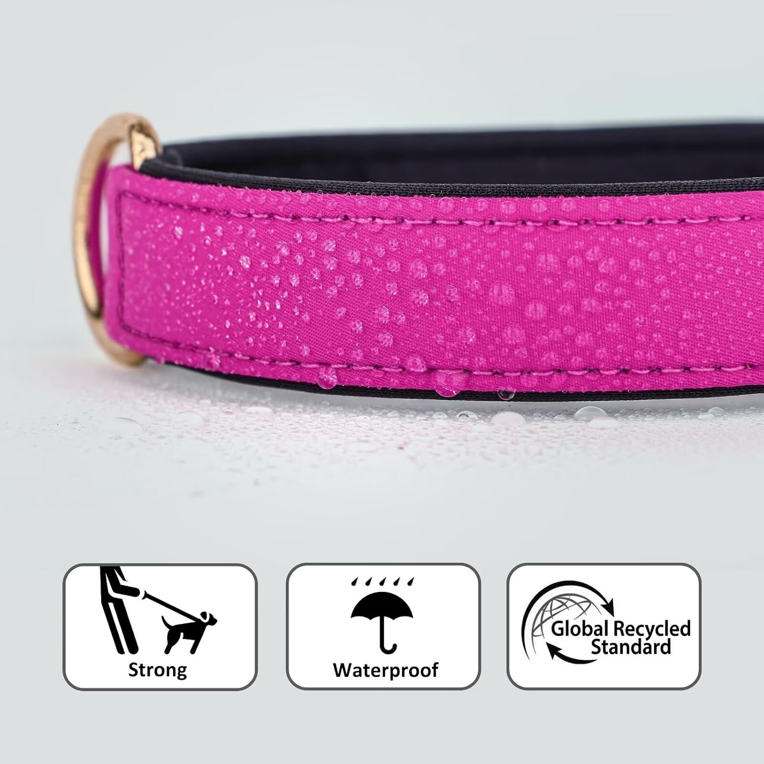 Didog Waterproof Dog Collar with Soft Padded, Strong Dog Collars with Metal Buckle, Lightweight and Breathable Dog Collars for Medium Dogs, Hot Pink, M image number 2