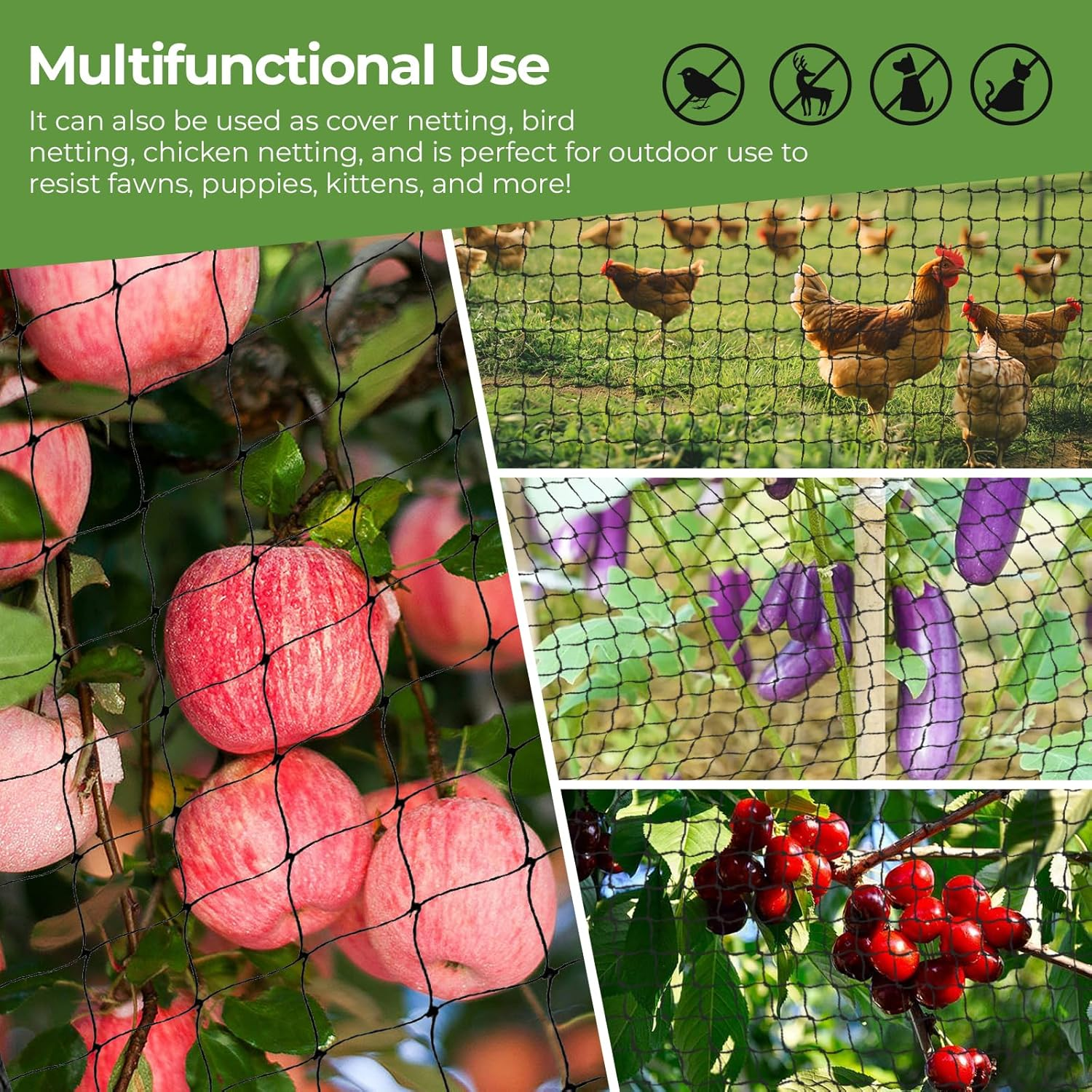 10 M X 10 M Bird Protection Net, Bird Net, Black, Tear-Resistant Plant Net for Chicken Enclosures, Aviary Net for Protects Fruit Trees and Vegetables from Bird Eating (Mesh Size 2.5 X 2.5