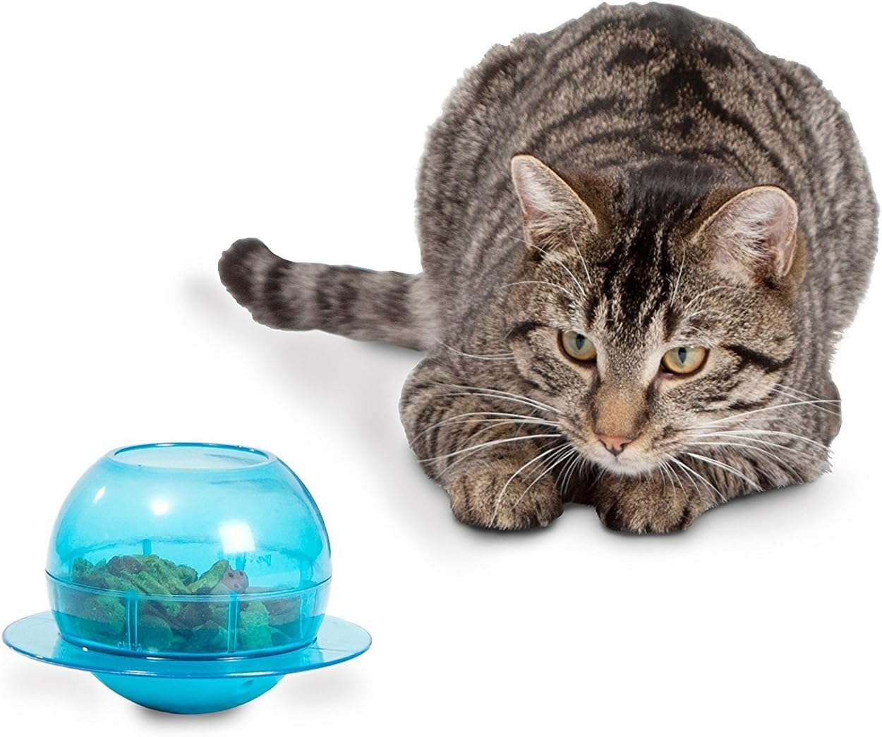 Petsafe Fishbowl Cat Feeder Toy