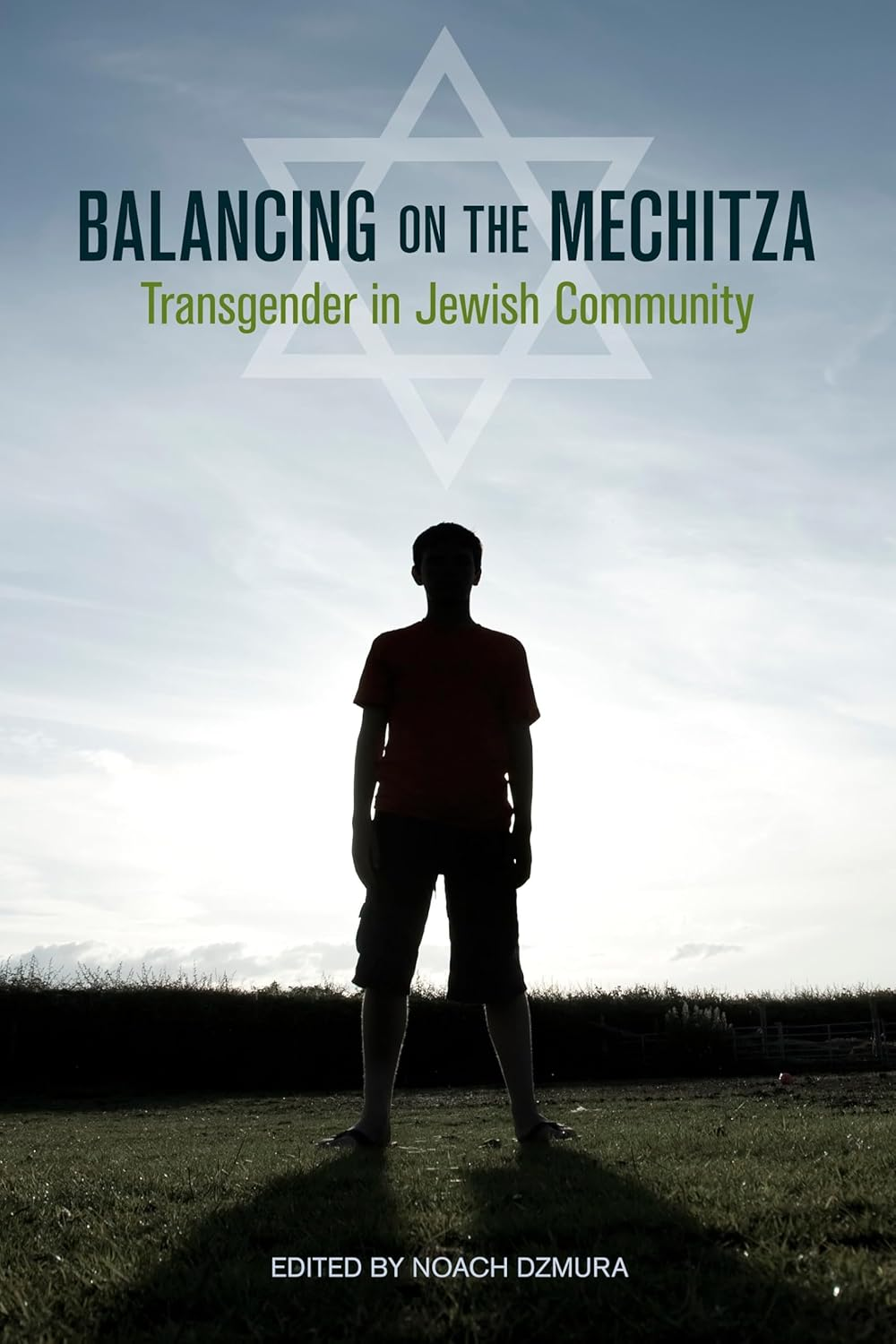 Balancing on the Mechitza: Transgender in Jewish Community: 66