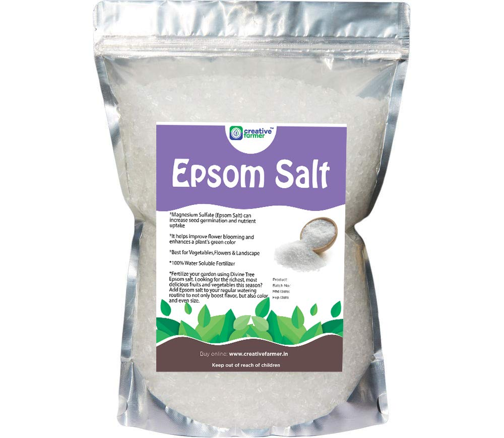 Creative Farmer Epsom Salt 1Kg | for Speed up Plant and Vegetable Growth Magnesium Sulphate image number 4