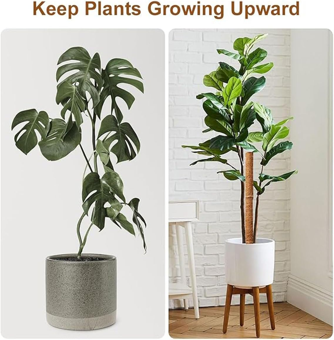 AIMALL 6 Pack Natural Coco Coir Climbing Pole 15.7In for Indoor Plants, Coconut Palm Stick Plant Support with Solid Wood Core for Potted Vine, Moss, Monstera, Rose image number 5