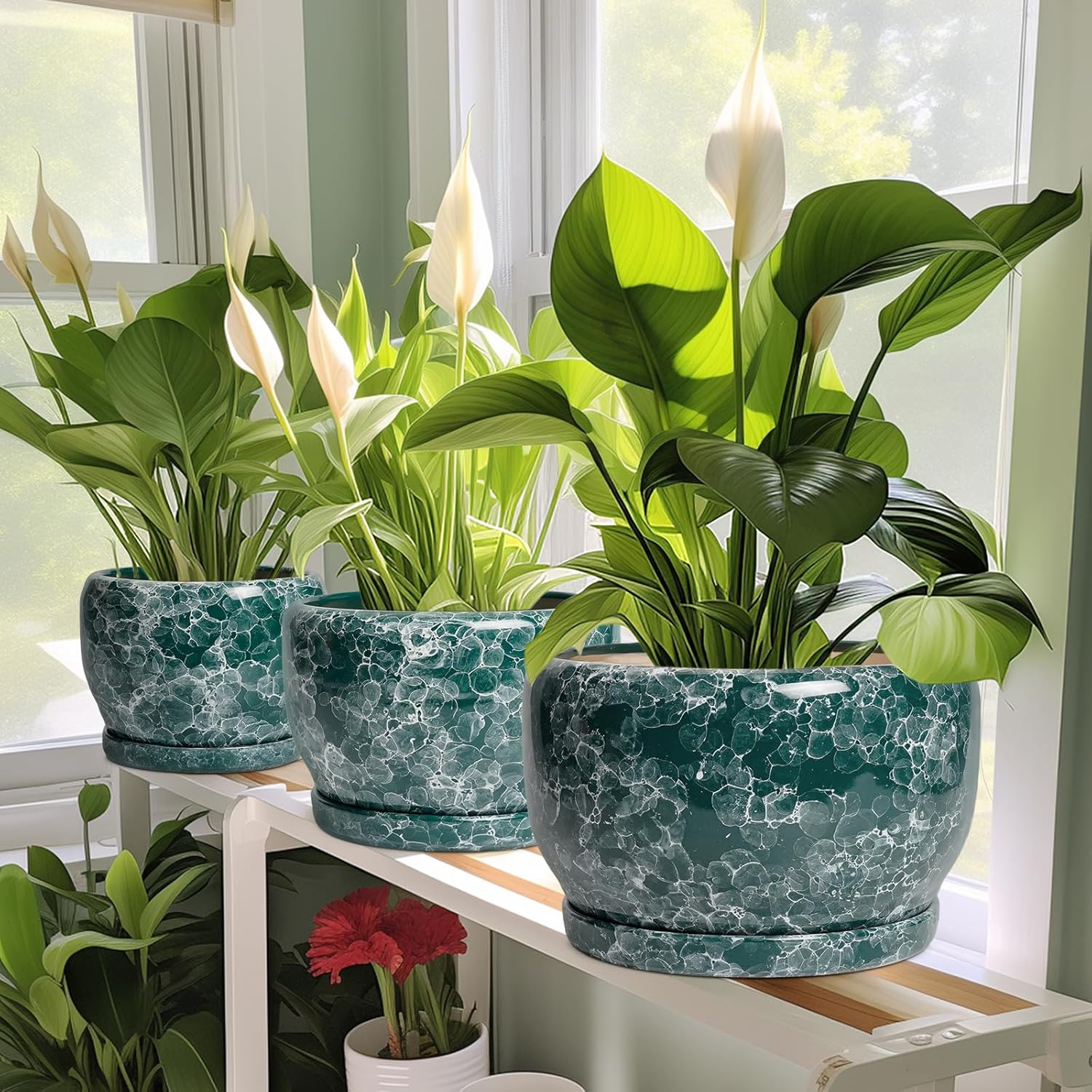 SQOWL Ceramic Plant Pot - 6 Inch Planter with Drainage Hole and Saucer, Succulent Pot round Planter for Indoor Plants Outdoor, Green image number 2