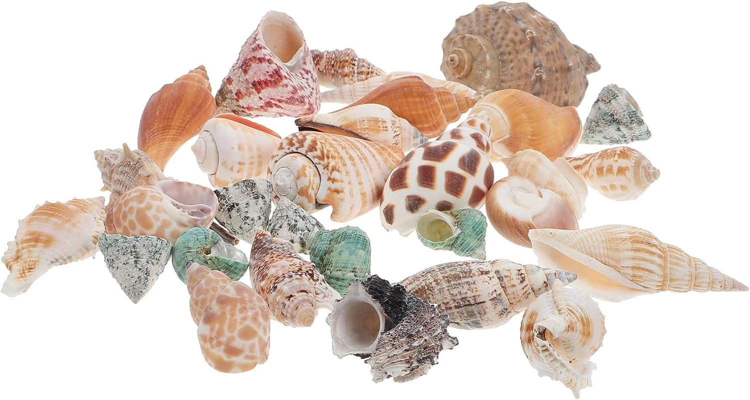 POPETPOP 1 Set Aquarium Conch Decor Hermit Crabs Shells Fish Tank Aquarium Adorns image number 3