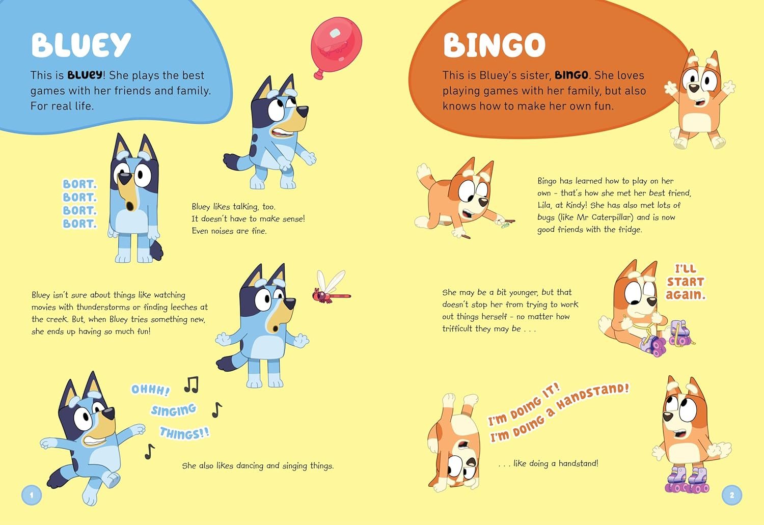 Bluey: Bluey'S Big World: a Book about Everything Bluey - for Real Life. image number 2
