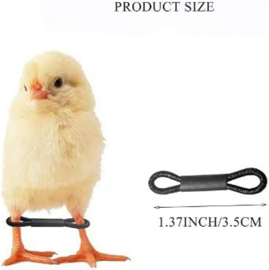 Fulillanlun 100PCS Baby Chicken Splay Leg Hobble Brace Adjustable Poultry Leg Bands for Newborn Spraddle Leg Chick Bird Quails Ducks image number 3