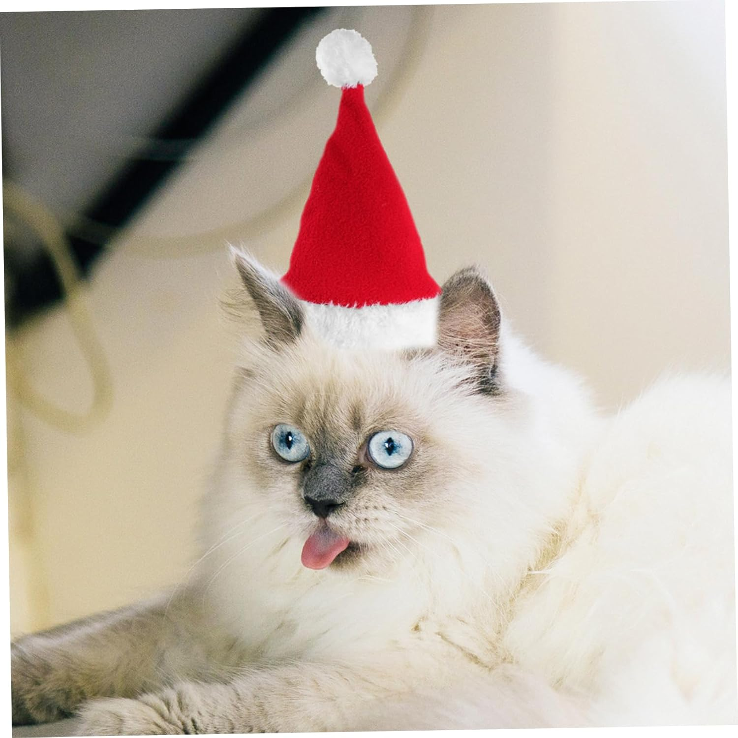 Christmas Pet Red Hat and Scarf for Dogs Washable Pet Scarf and Hat for Holiday Costume and Dog Christmas Decoration image number 3