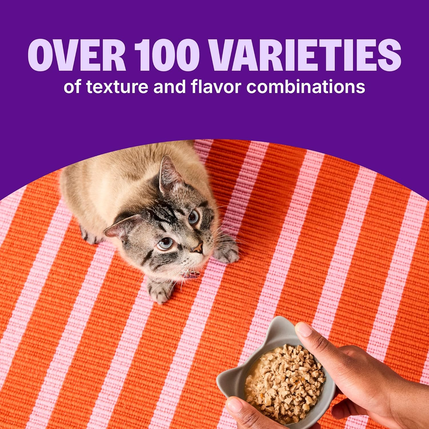 Wellness CORE Signature Selects Shredded Adult Wet Cat Food, Natural, Protein-Rich, Grain Free, 2.8 Ounce, 12 Pack (Chicken & Chicken Liver)