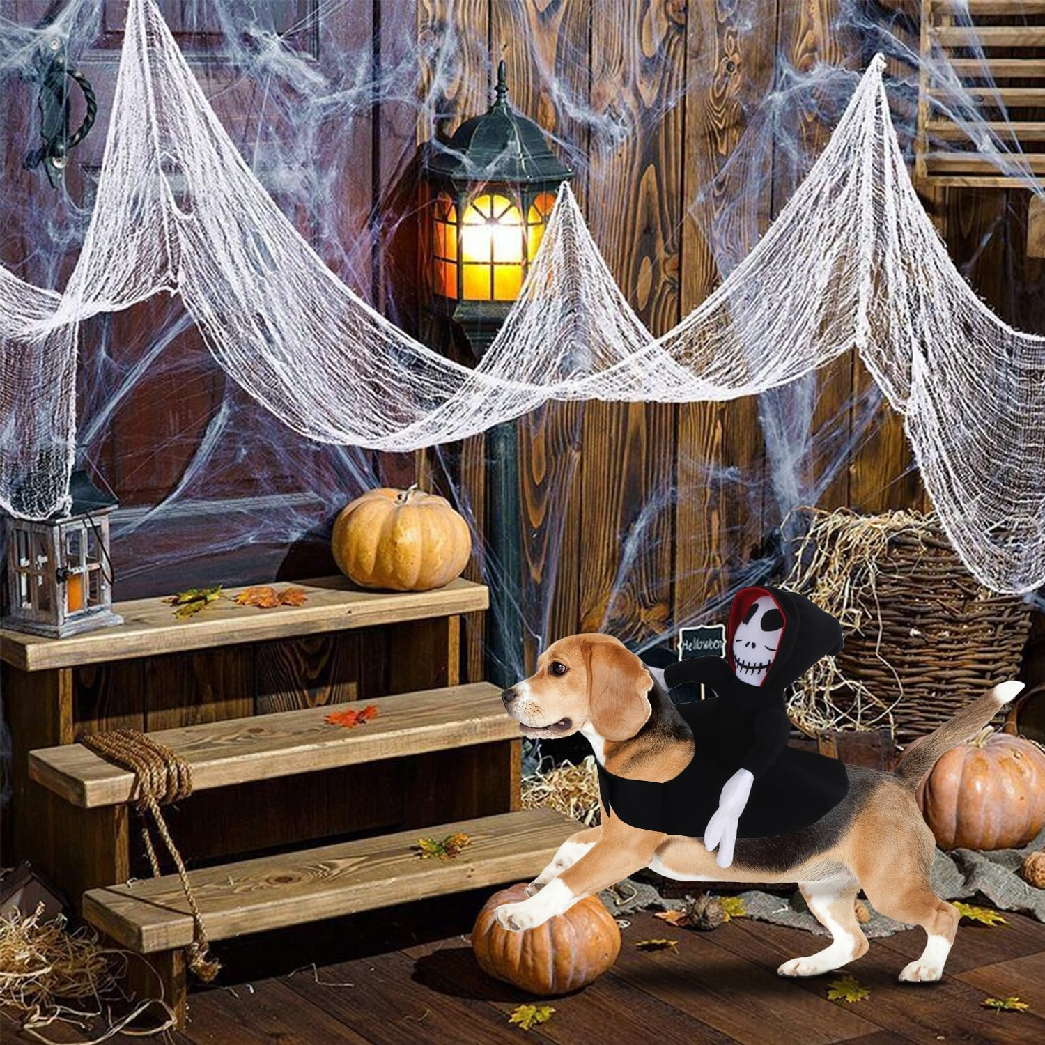 Rider Dog Costume, Dog Costume Halloween, Halloween Pets Party Cosplay Clothing, Pet Dogs Halloween Rider Costume, Ghost Rider, Halloween Grim Reaper Dog Costume (L) image number 6