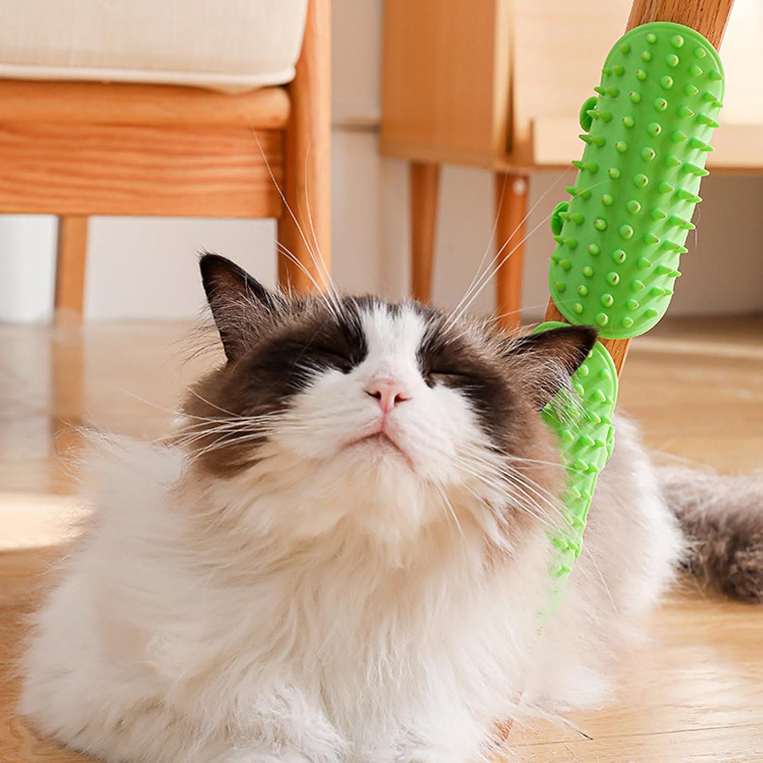 Qaestuan Pack of 4 Self-Cleaning Cat Brush, Silicone Massage Corner for Cats, Silicone Cat Care Massage Hair Loss Brush with Strap, Grooming Brush Cat, for Cats Massage and Hair Removal image number 6