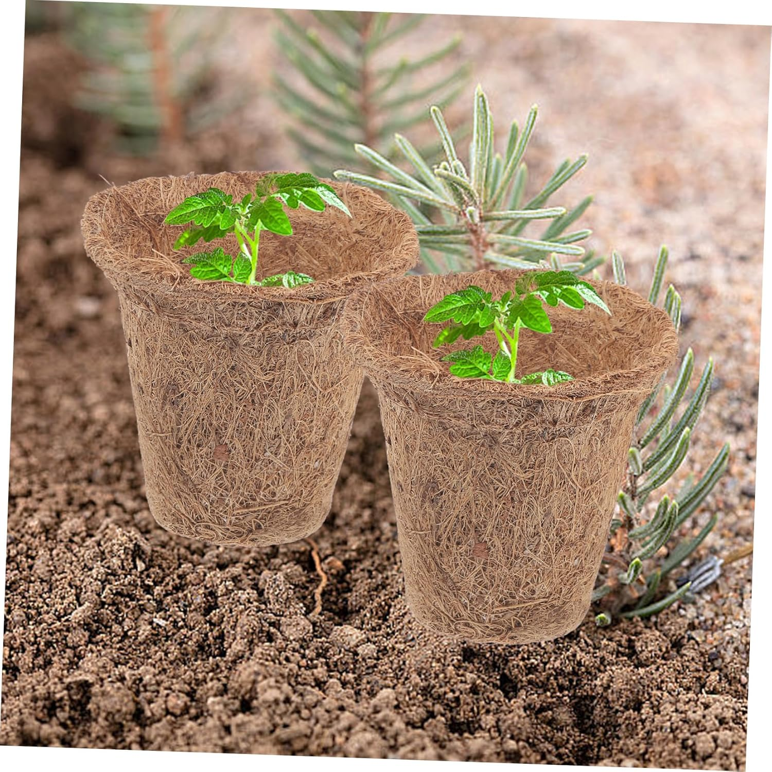 Sosoport Plant Starter Pots 35Pcs Nursery Pots for Direct Planting Germination Growing Pots Fiber for Home Gardening image number 4