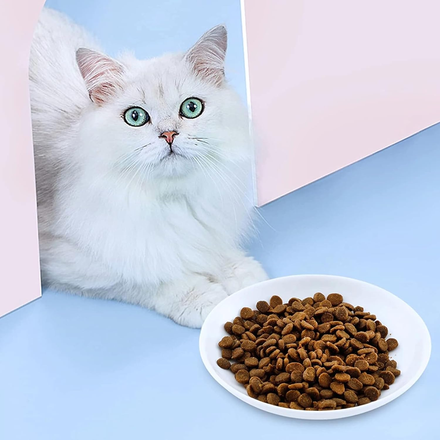 2 Pcs Cat Bowls, Wide & Shallow Cat Plates for Whiskey Fatigue Relief, 15Cm/6&rsquo;' Ceramic Cat Feeding Dishes Cute Fish Bone Design, Wet & Dry Food Feeding Bowls for Kittens, Cats, Puppies - White image number 4