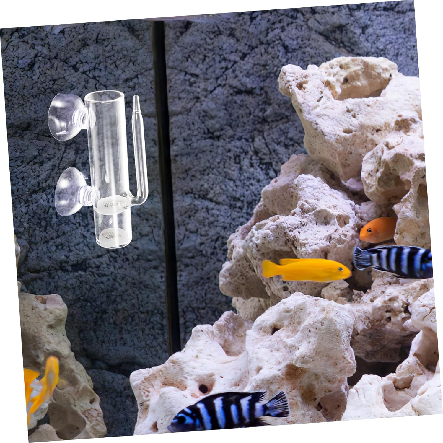 HANABASS Shrimp Egg Hatchery Glass Incubator Fish Breeding Holder Aquarium Breeding Tank Brine Shrimp Hatchery Device for Aquatic Pets image number 4