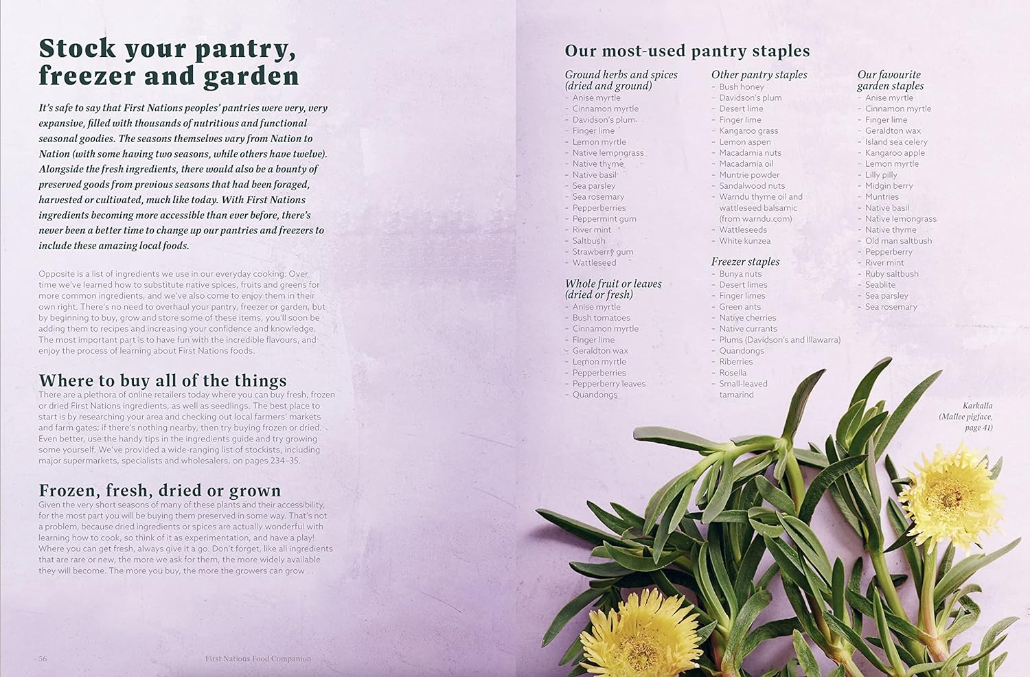 First Nations Food Companion: How to Buy, Cook, Eat and Grow Indigenous Australian Ingredients